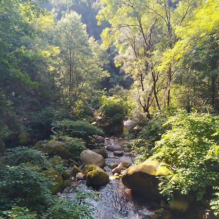 Campismo Rural Vale Dos Moinhos Geres Hotel Екстериор снимка