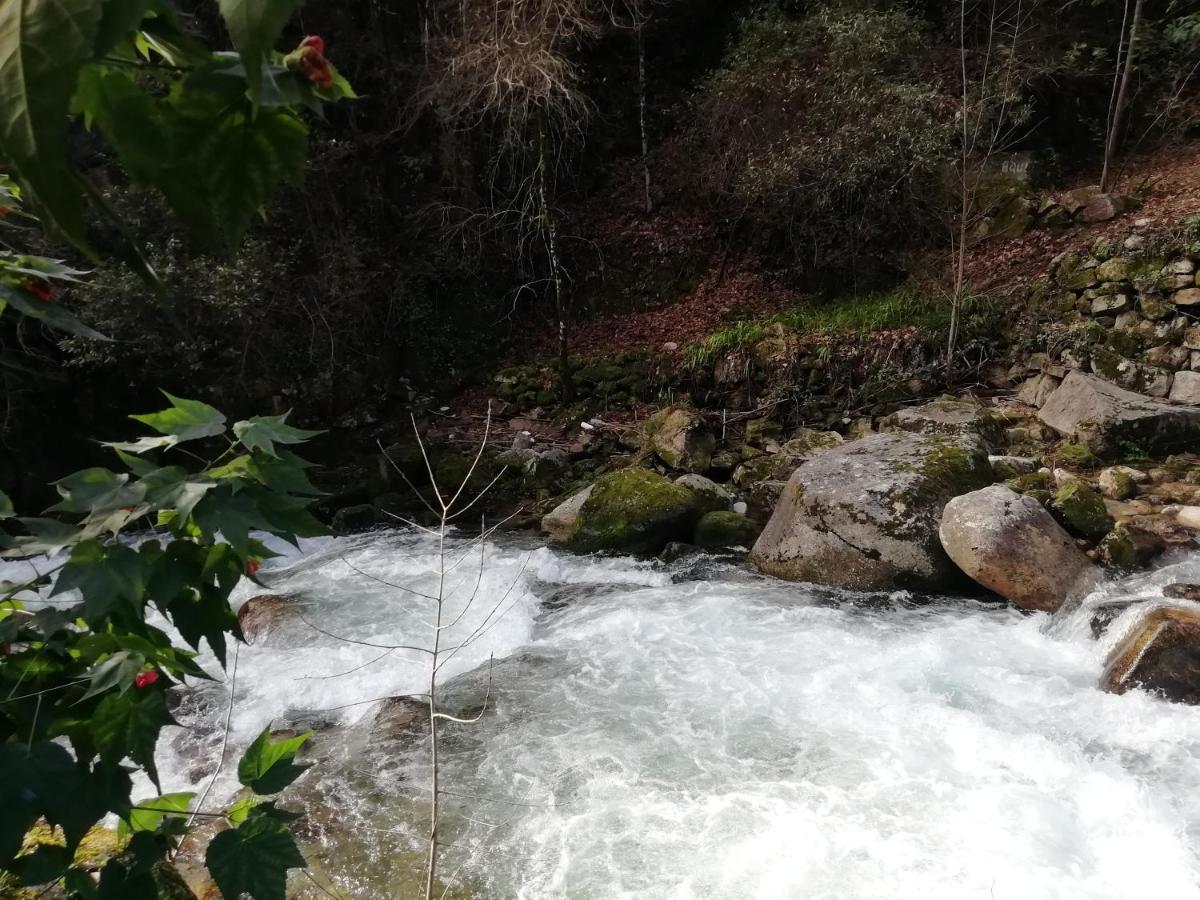 Campismo Rural Vale Dos Moinhos Geres Hotel Екстериор снимка