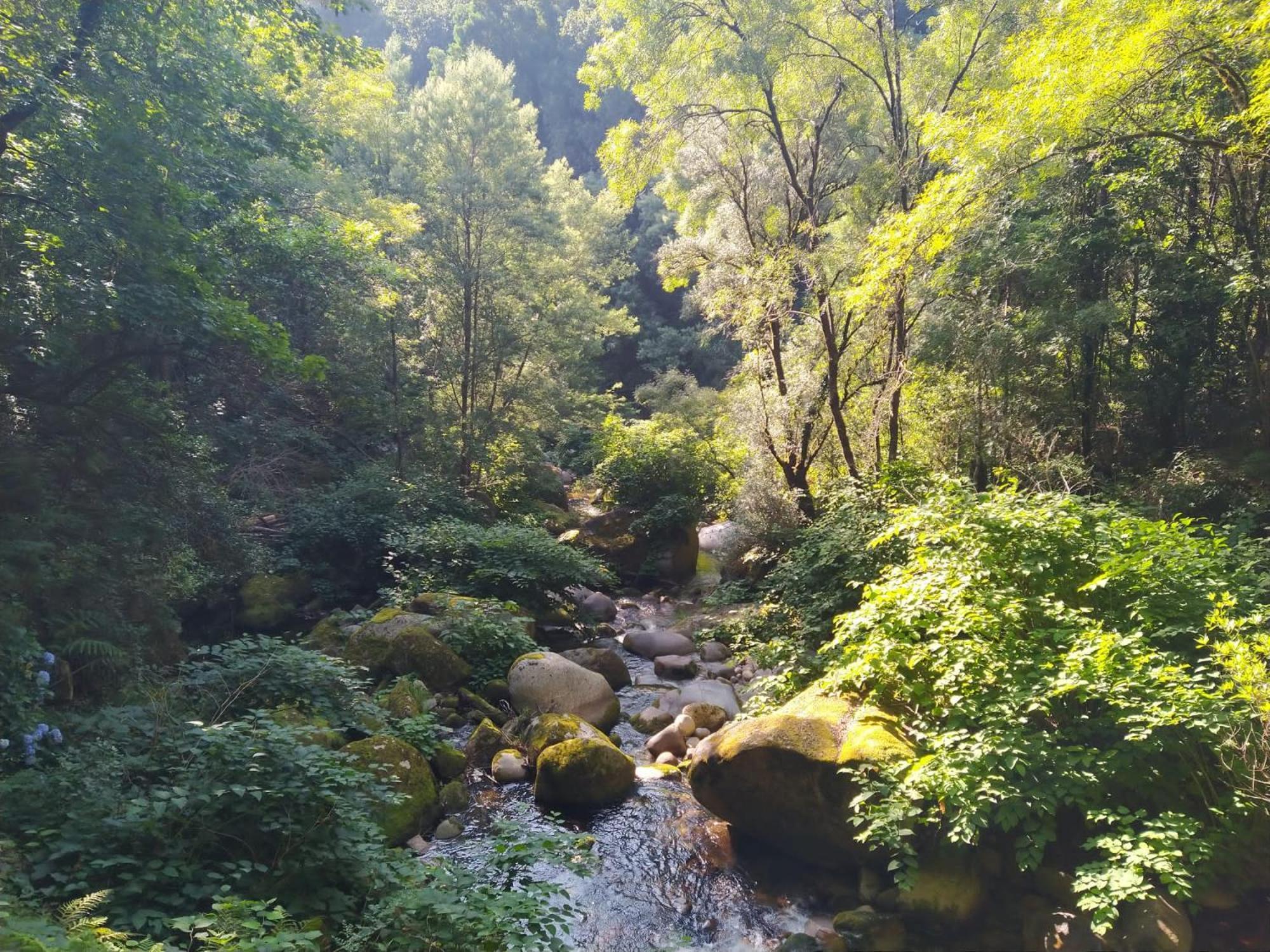 Campismo Rural Vale Dos Moinhos Geres Hotel Екстериор снимка