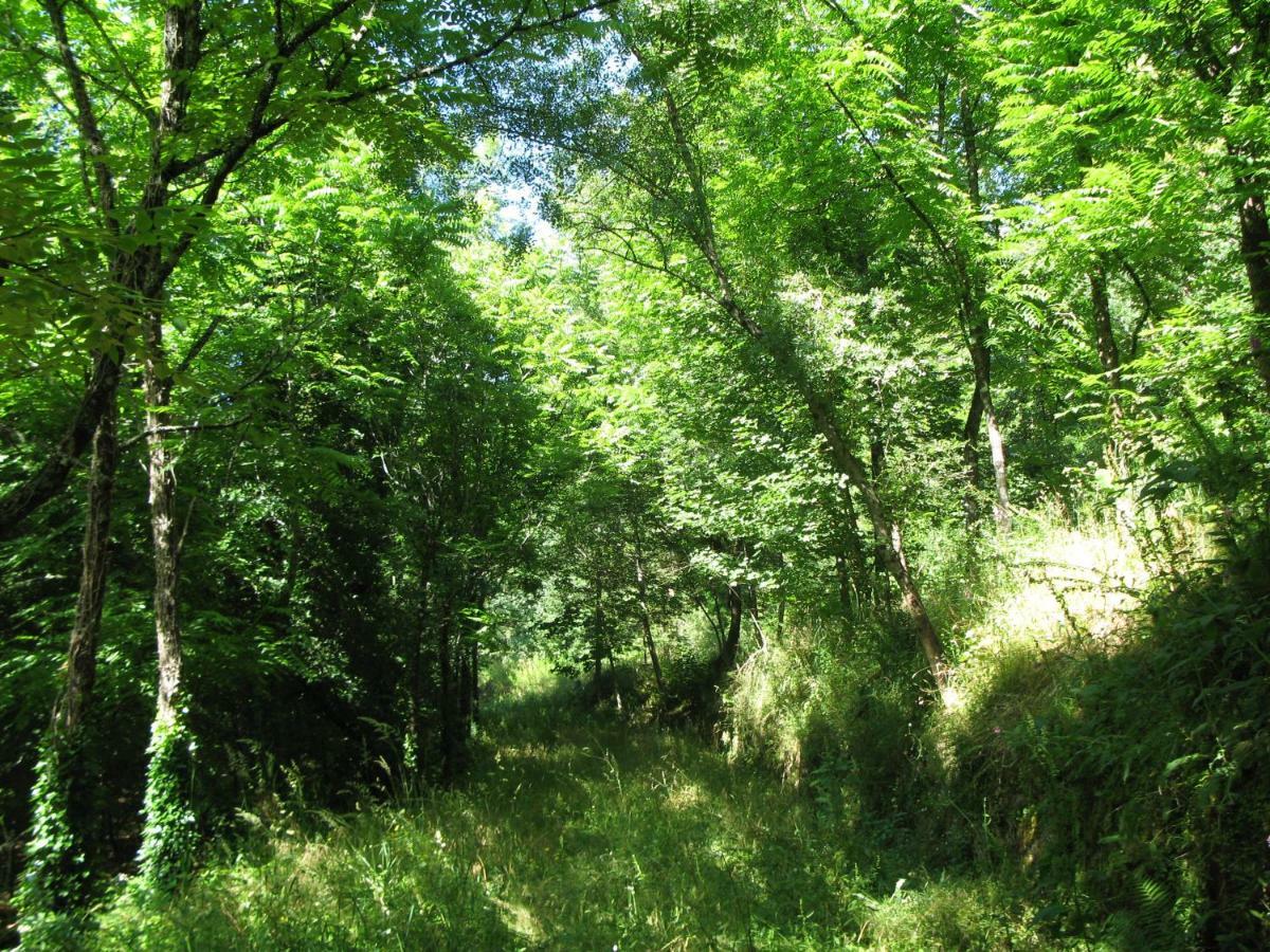 Campismo Rural Vale Dos Moinhos Geres Hotel Екстериор снимка