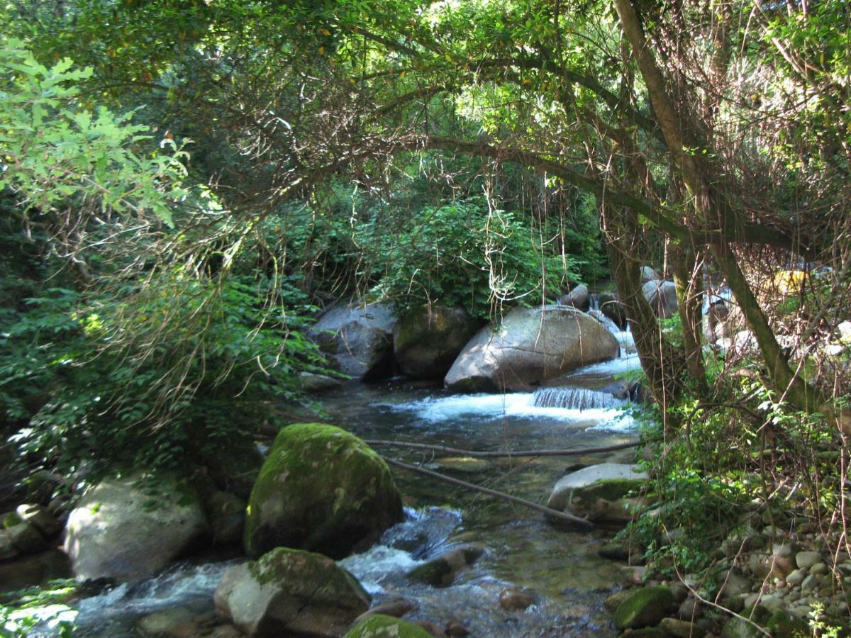 Campismo Rural Vale Dos Moinhos Geres Hotel Екстериор снимка